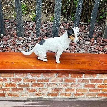 Villa Chateau Katarina