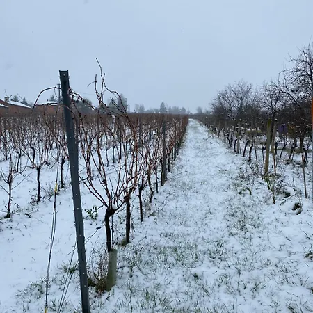 Chateau Katarina * Vráble