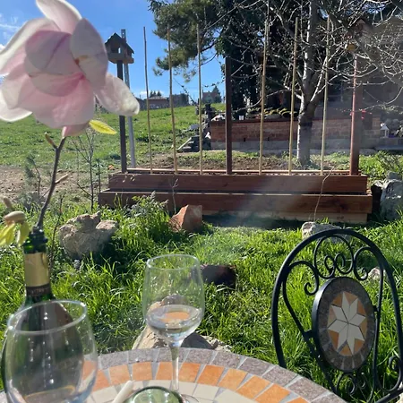 Chateau Katarina Villa