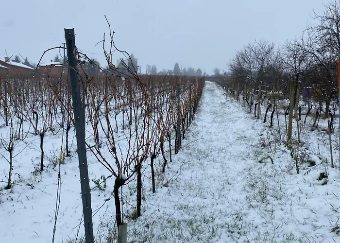 Chateau Katarina * Vráble